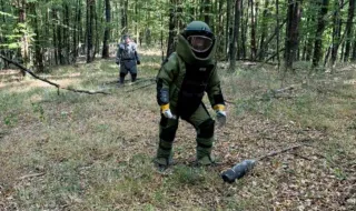 53 невзривени боеприпаса и 1070 кг метални отломки са открити в района на ЕМКО след експлозията в завода край Трявна