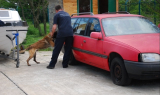 „Цигарен“ диван откри митничарското куче Жерар