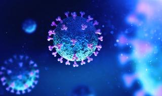 Има само един начин за заразяване с коронавирус, твърдят германски учени