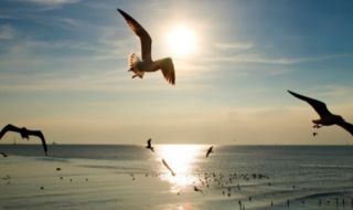 Слънчева събота, валежи и гръмотевици на запад