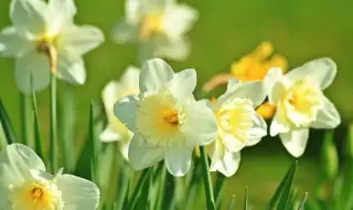 Времето днес, прогноза за четвъртък, 12 март: Остава слънчево с източен вятър