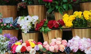 Не купувайте цветя от нерегламентирани търговци!