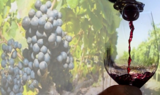 Половината производители на алкохол у нас - в сивия сектор