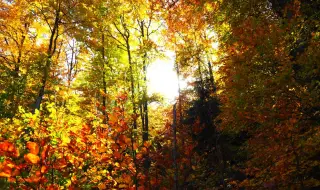 Времето днес, прогноза за петък, 31 октомври: Цял ден слънчево в по-голямата част от страната