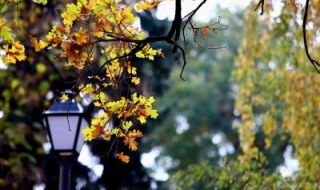 Температурите падат