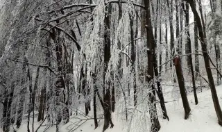 Сняг заваля на „Петрохан“, снегорини са на място