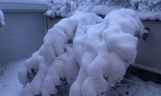 До -13 градуса в неделя