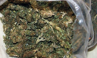 Хванаха престъпна група, разпространявала марихуана