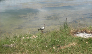 Пролетта идва със слънце