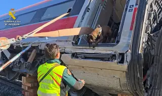 39 души остават в болница след челния сблъсък на влакове в Испания, жертвите вече са 42