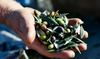 Цената на тока повиши инфлацията в Гърция до 5% през септември