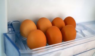 Яйцата са рекордьор по яйцата