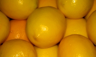 16 тона контрабандни лимони на Капитан Андреево