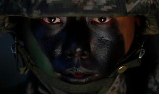 Армията на Южна Корея се уплаши от... птици