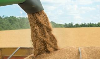 Хванаха тракторист, откраднал 6,7 тона зърно