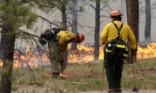 Поне две жертви на пожарите в Колорадо