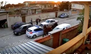 Галопиращ кон връхлетя полицейски автомобил
