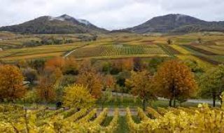 Слънчева сряда, времето се затопля