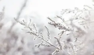 Времето днес, прогноза за сряда, 24 декември: Валежи от дъжд обхващат страната от запад, сняг в планините