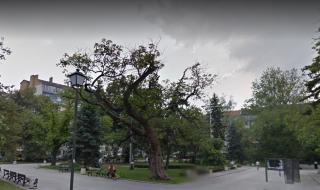 Фотографска изложба за пръв път на открито в София