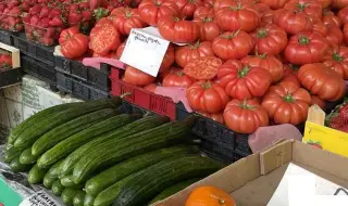 БКПЗ: Българското производство на плодове и зеленчуци е на критичния минимум