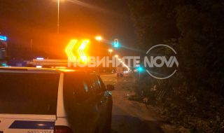 Дърво падна на „Цариградско шосе” в София