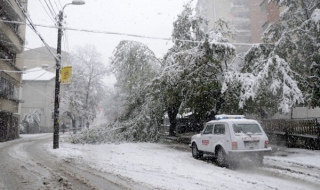 Седмицата започва със студ