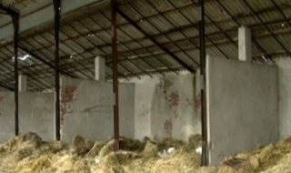 Жители на село си раздадоха 300 000 лева