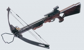 Пиян плаши с арбалет съседи и полиция