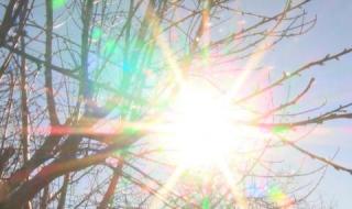 Температурен рекорд за месеца в Търговище