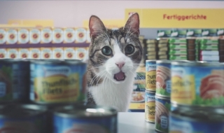 Ех, тази реклама