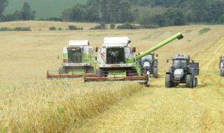 НАП: Наблюдаваме износа на зърнени и житни култури