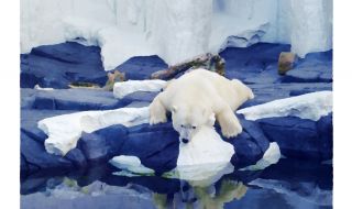 Нови открития свързват Арктика и глобалното затопляне