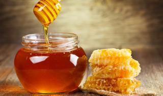 Разбиха голям мит за пчелния мед
