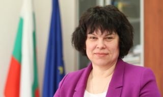 Таня Михайлова: Близо половината от резервните преподаватели са студенти