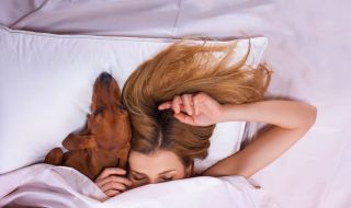 Кучето решава проблемите ви със съня