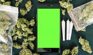 Да установиш употреба на марихуана чрез смартфон? Вече е възможно!