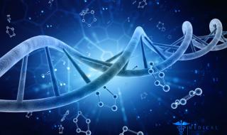 Присъединяваме се към споразумение за обмен на ДНК данни