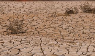 Френски земеделци отправят молитва за дъжд заради необичайна суша