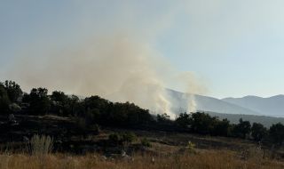 Частично бедствено положение в Асеновград заради два горски пожара
