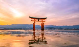 Каква е тайната на японското дълголетие?
