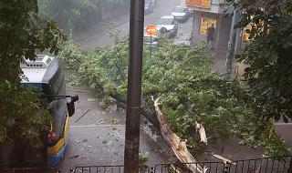 Буря парализира Плевен, събори дървета и билбордове