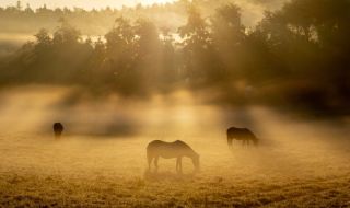 Времето днес, прогноза за вторник, 7 ноември: Слънчево и топло за сезона, ще духа южен вятър
