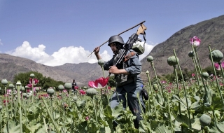 ЦРУ участва в бизнеса с хероин в Афганистан?