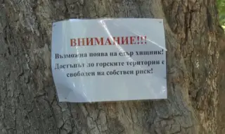 Заведения край Шуменското плато искат компенсации заради издирването на леопарда