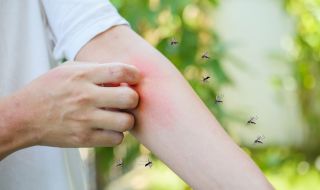 За хората от коя кръвна група са най-опасни комарите?