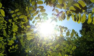 Седмицата започва със слънце