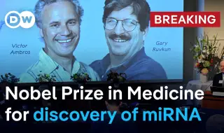 MicroRNA researchers took the Nobel Prize in Medicine VIDEO 