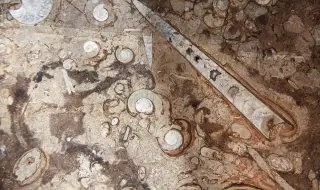 Откриха фосили от предци на октоподите в Централна Англия