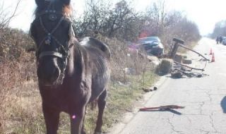 Кола блъсна каруца във Варненско, загинал е младеж